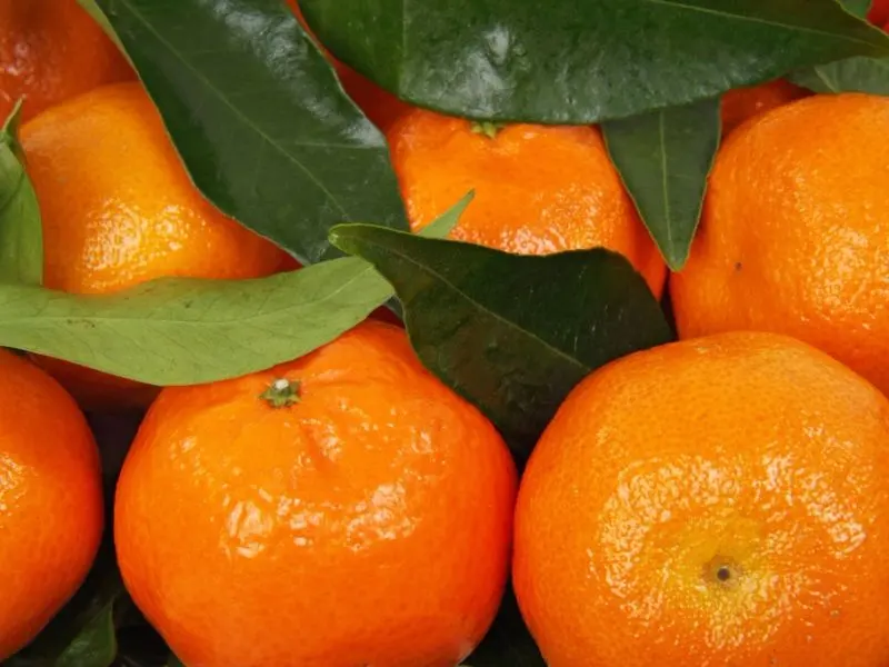 Tangerine