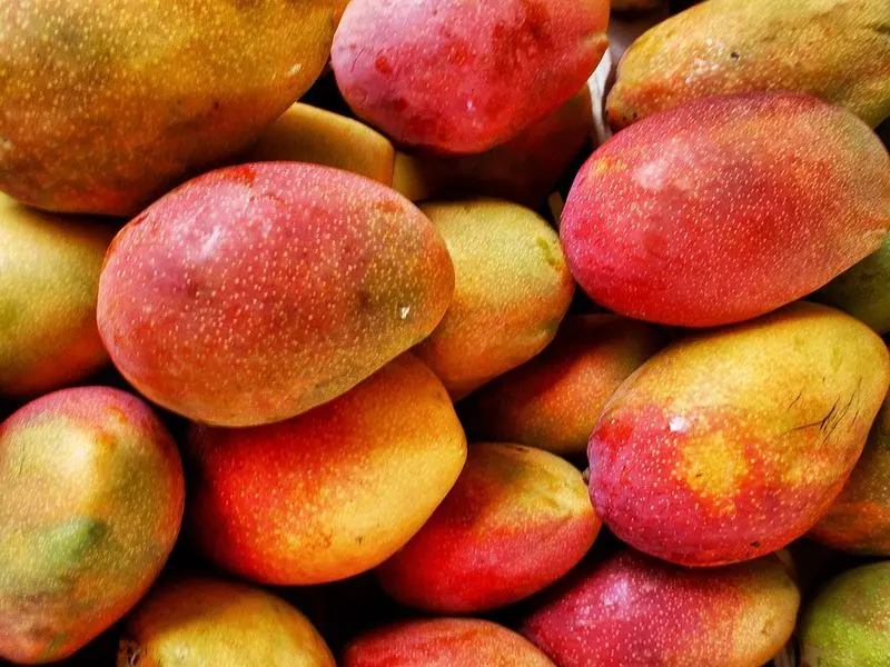 Tropical Fruits